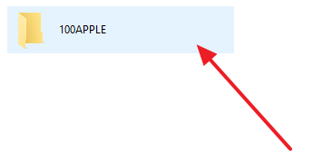 папка 100APPLE