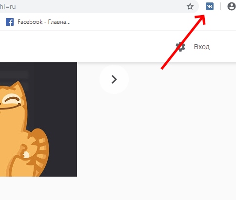 Иконка расширений
