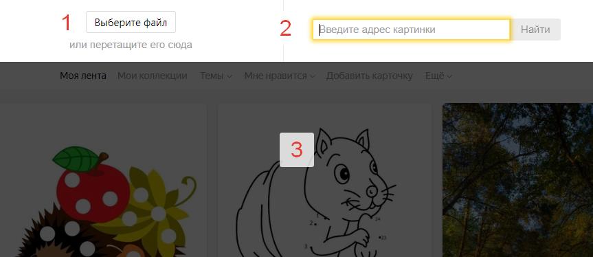 Три способа загрузить картинку для поиска в Яндекс от Нетолии